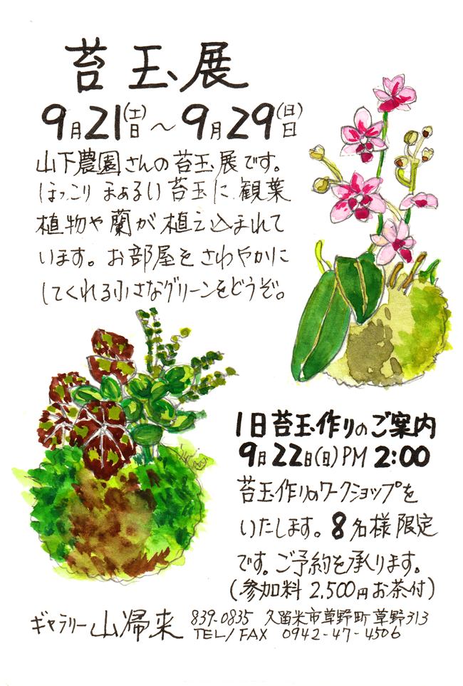 苔玉展.png